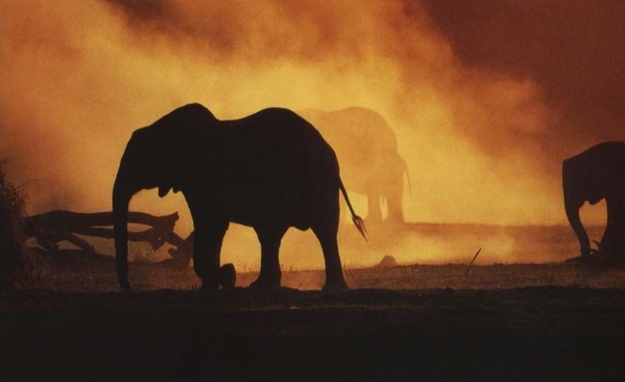 Karen&nbsp;Blixen en&nbsp;Kuki&nbsp;Gallmann